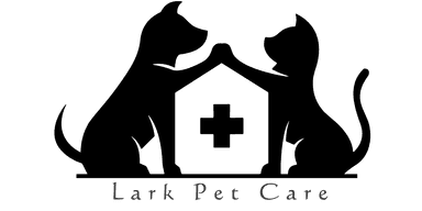 Client logo 20